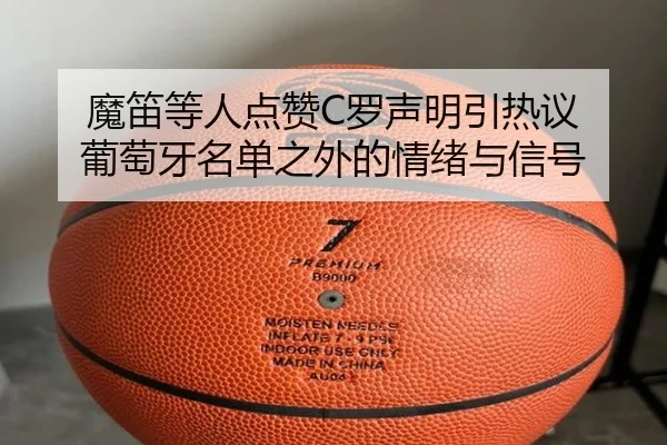 魔笛等人点赞C罗声明引热议 葡萄牙名单之外的情绪与信号 | LEDONG.COMapp